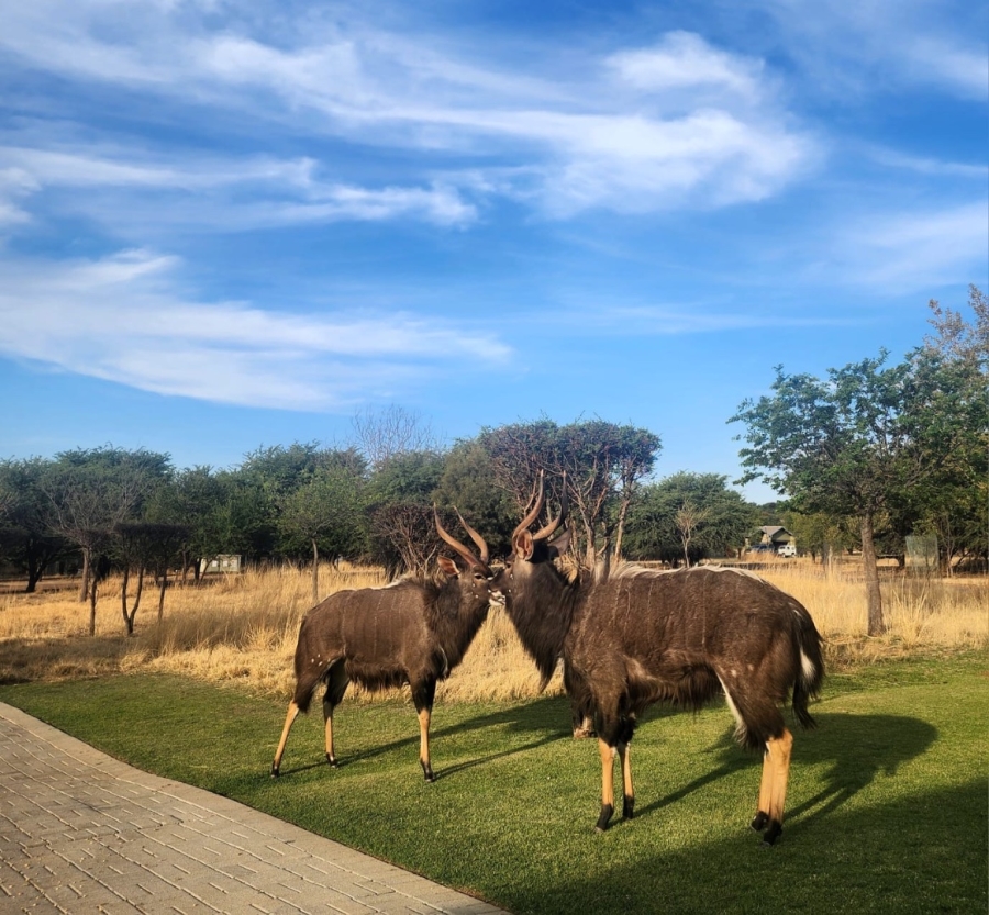 3 Bedroom Property for Sale in Wilkoppies North West